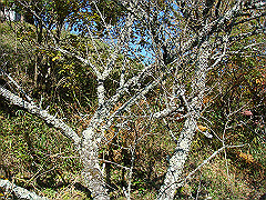 dsc00521_thumb.jpg