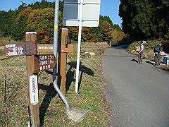 dsc00523_thumb.jpg