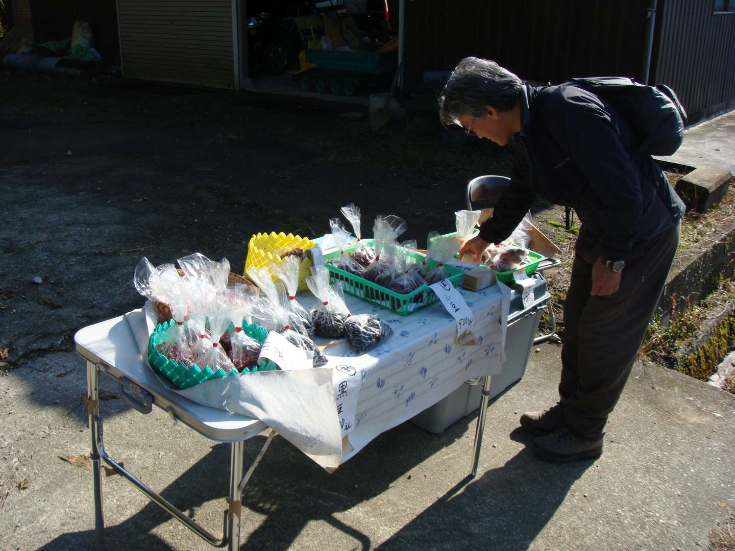 dsc00524.jpg