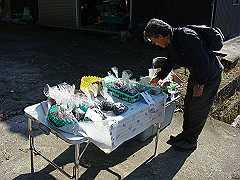 dsc00524_thumb.jpg