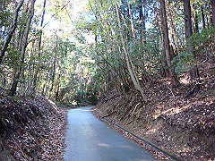 dsc00527_thumb.jpg