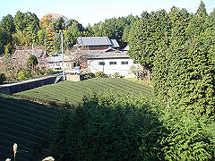 dsc00529_thumb.jpg