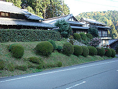 dsc00534_thumb.jpg