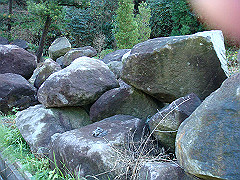 dsc00535_thumb.jpg