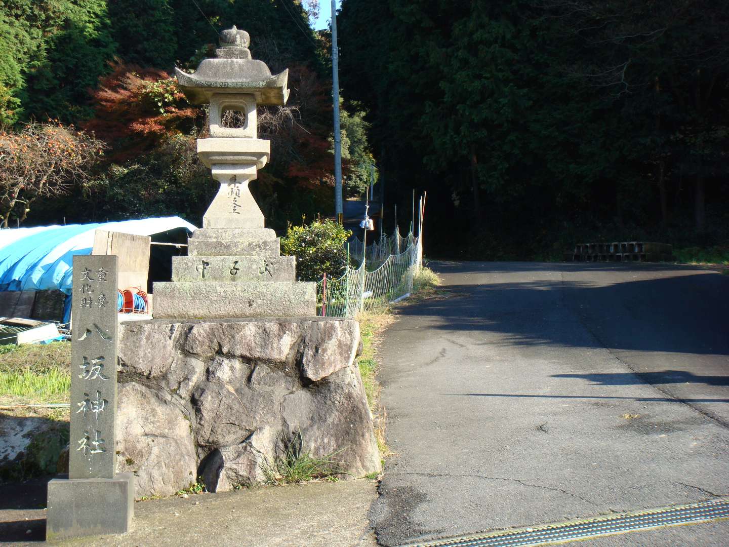 dsc00536.jpg