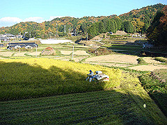 dsc00537_thumb.jpg