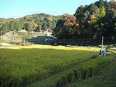 dsc00538_thumb.jpg