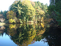 dsc00542_thumb.jpg