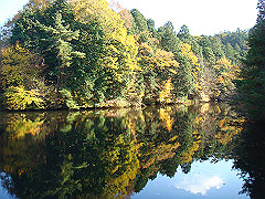 dsc00543_thumb.jpg