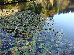 dsc00544_thumb.jpg