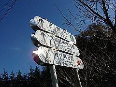 dsc00545_thumb.jpg