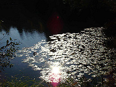 dsc00546_thumb.jpg