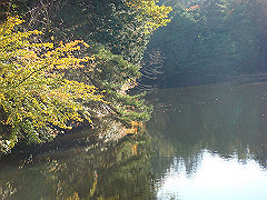 dsc00547_thumb.jpg