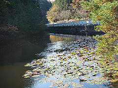 dsc00548_thumb.jpg
