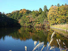 dsc00549_thumb.jpg