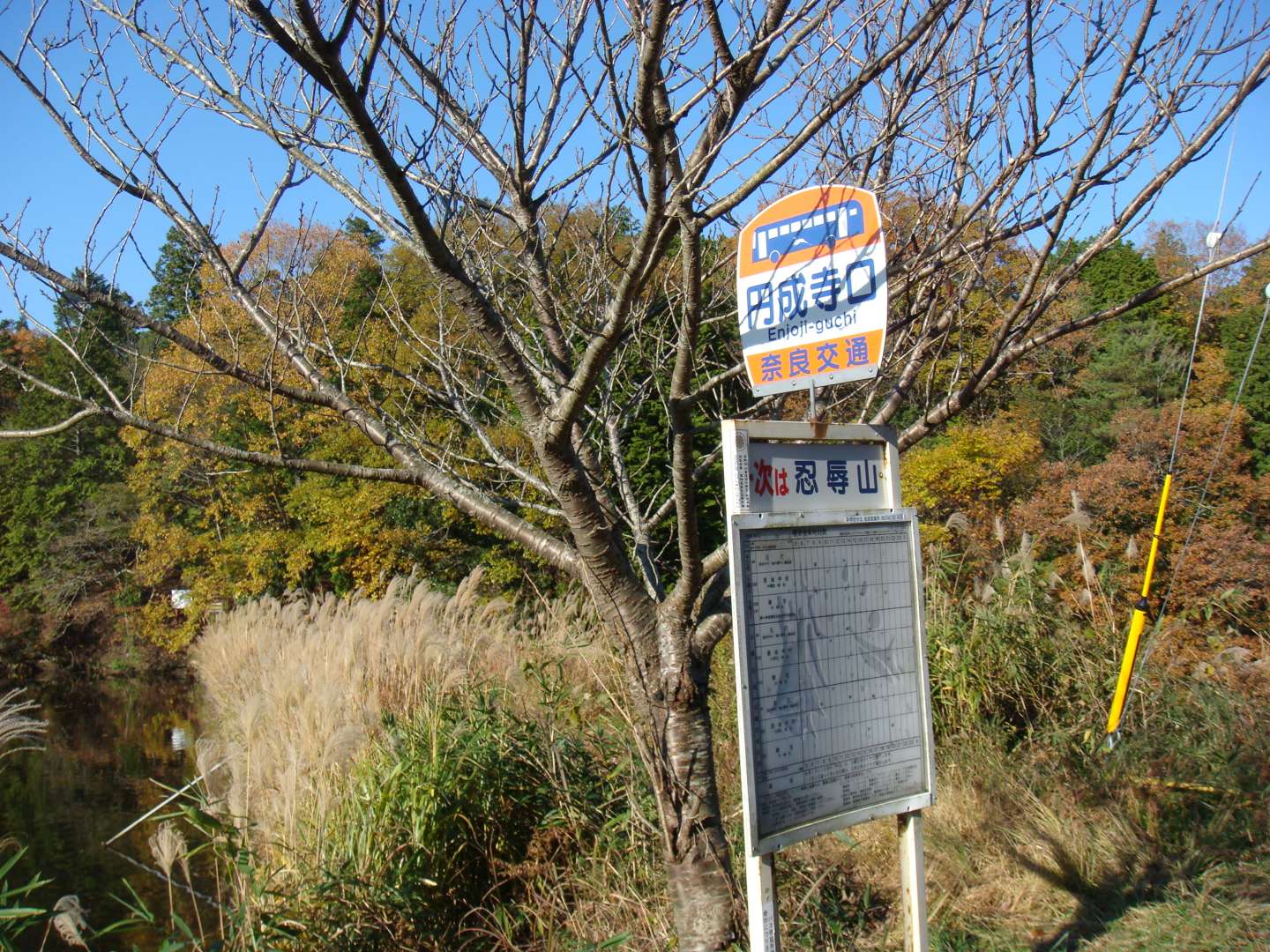 dsc00550.jpg