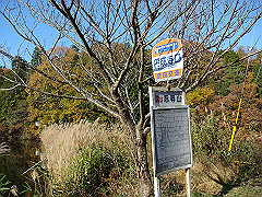 dsc00550_thumb.jpg
