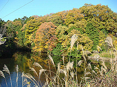 dsc00551_thumb.jpg