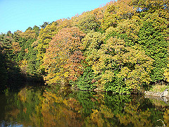 dsc00552_thumb.jpg