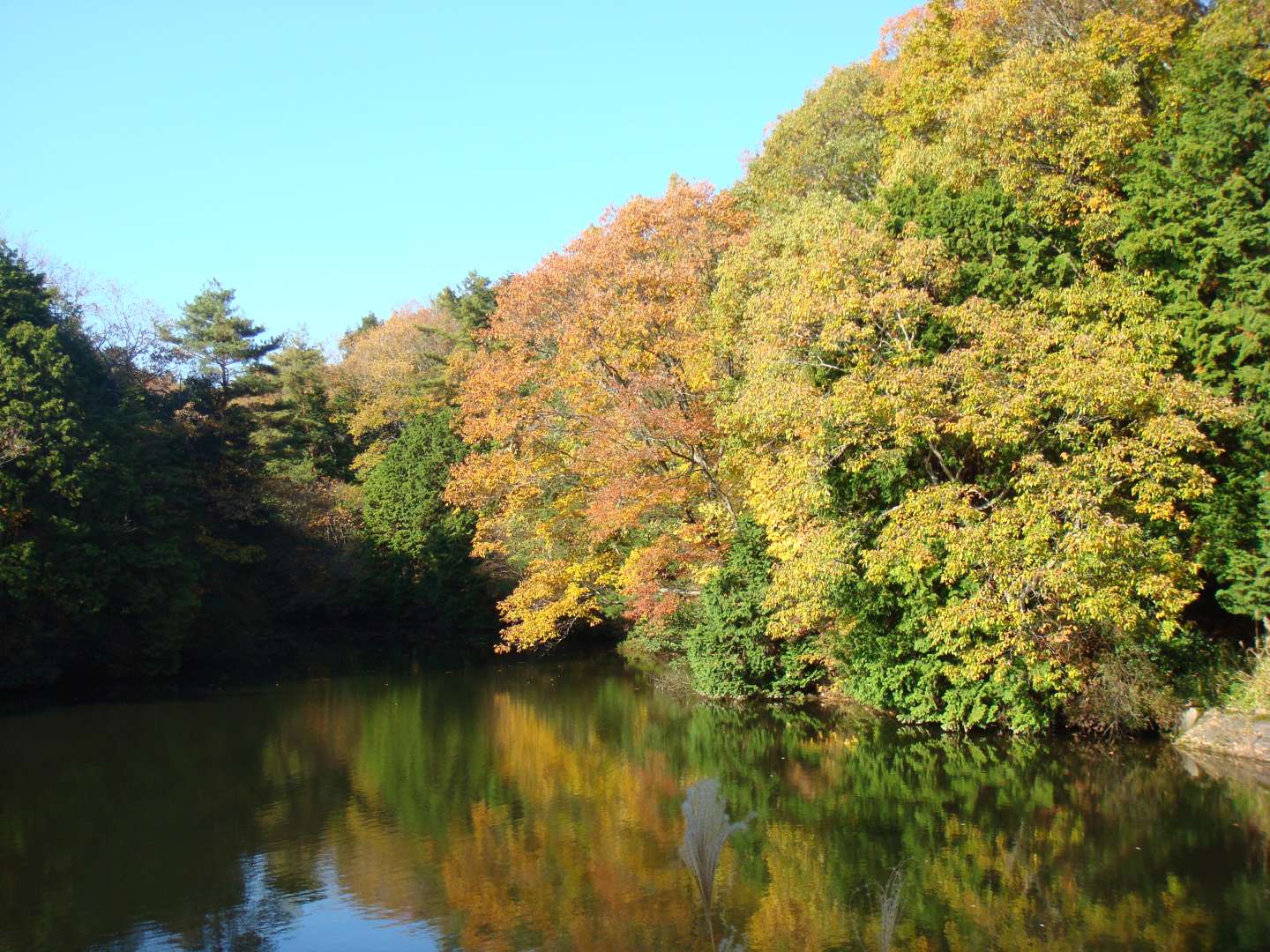dsc00553.jpg