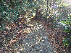 dsc00555_thumb.jpg
