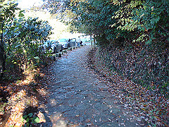 dsc00556_thumb.jpg