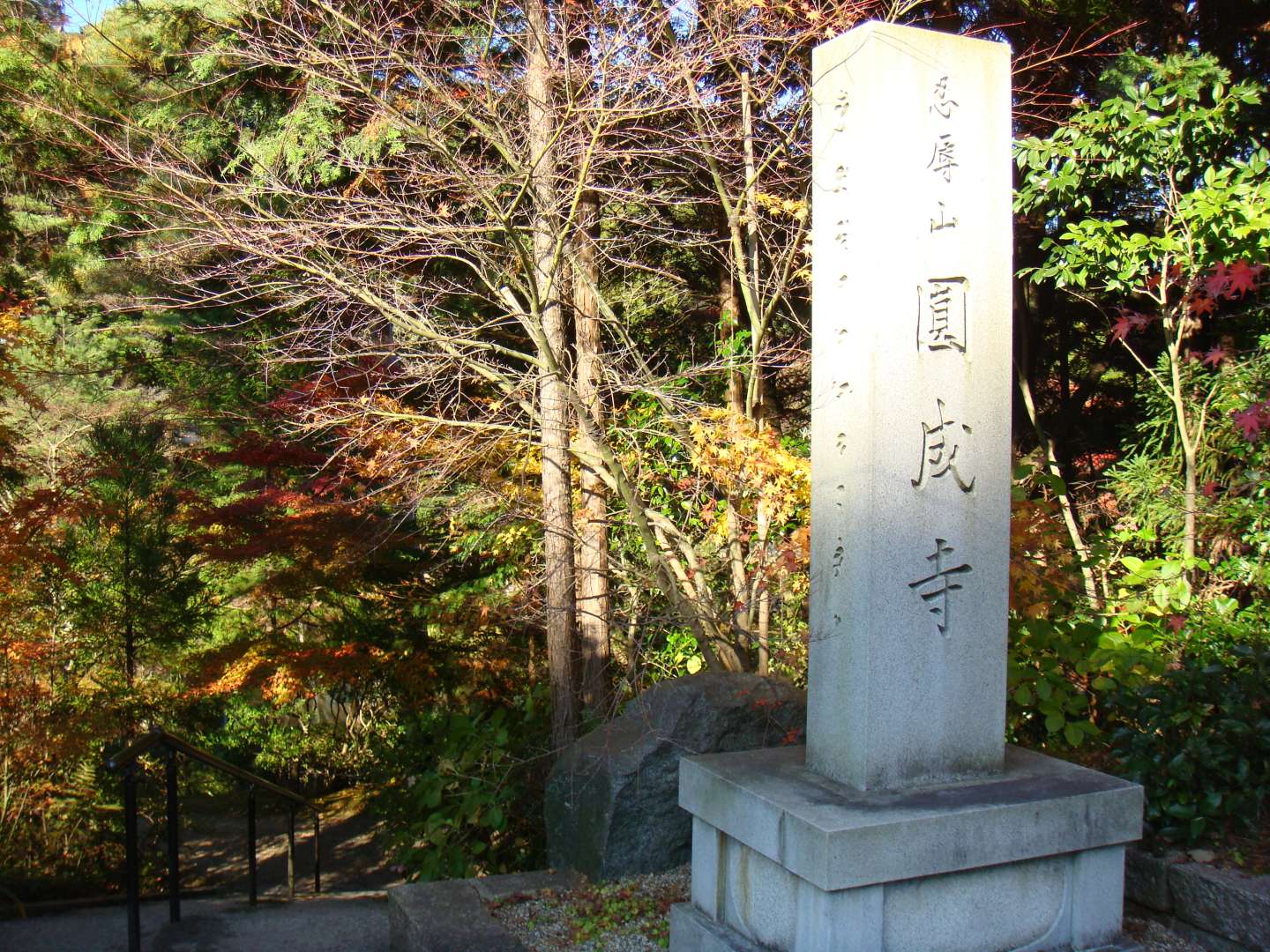 dsc00558.jpg