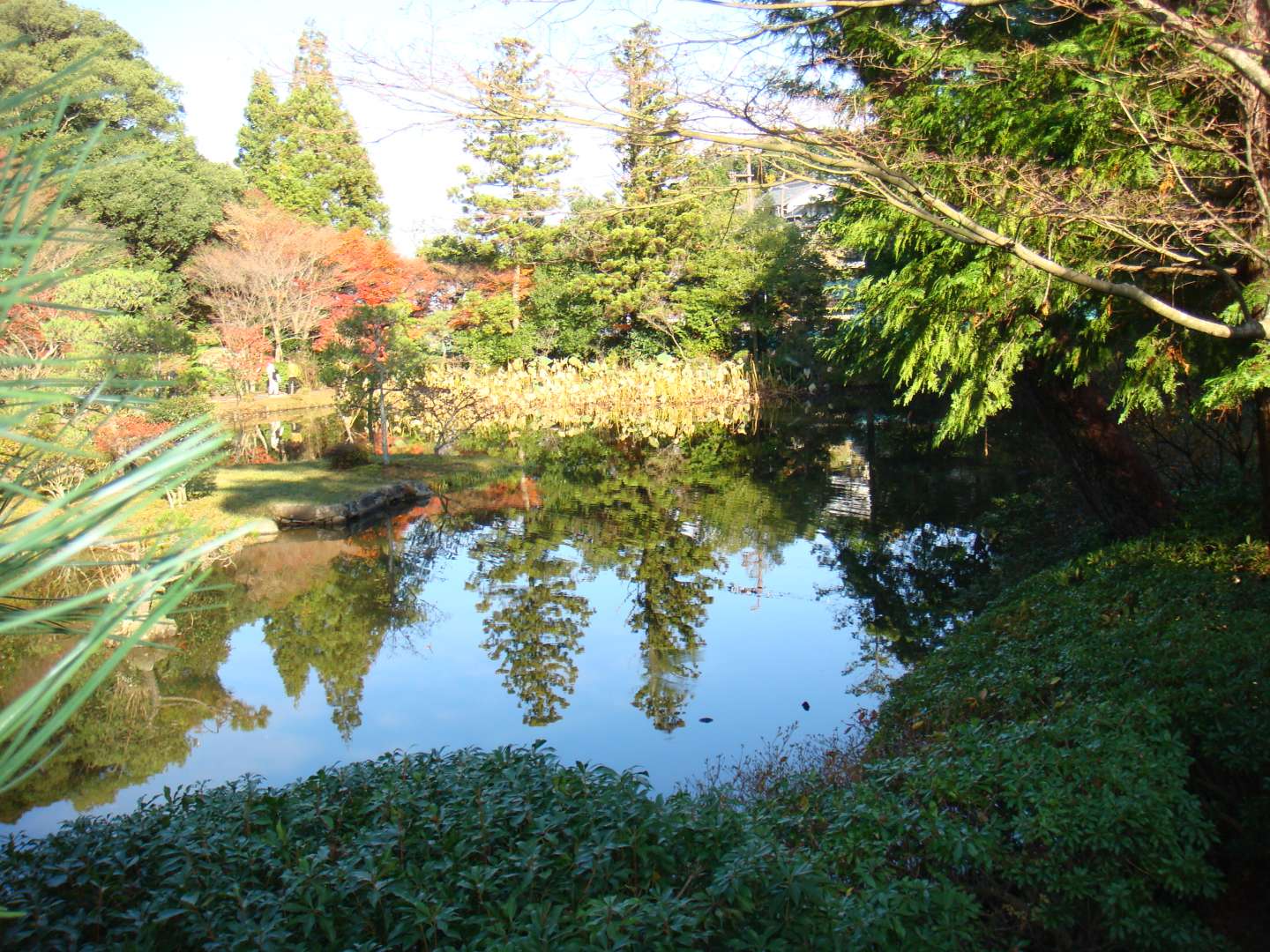 dsc00564.jpg