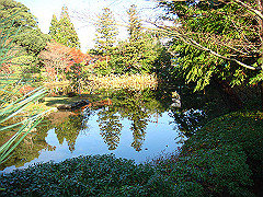 dsc00564_thumb.jpg