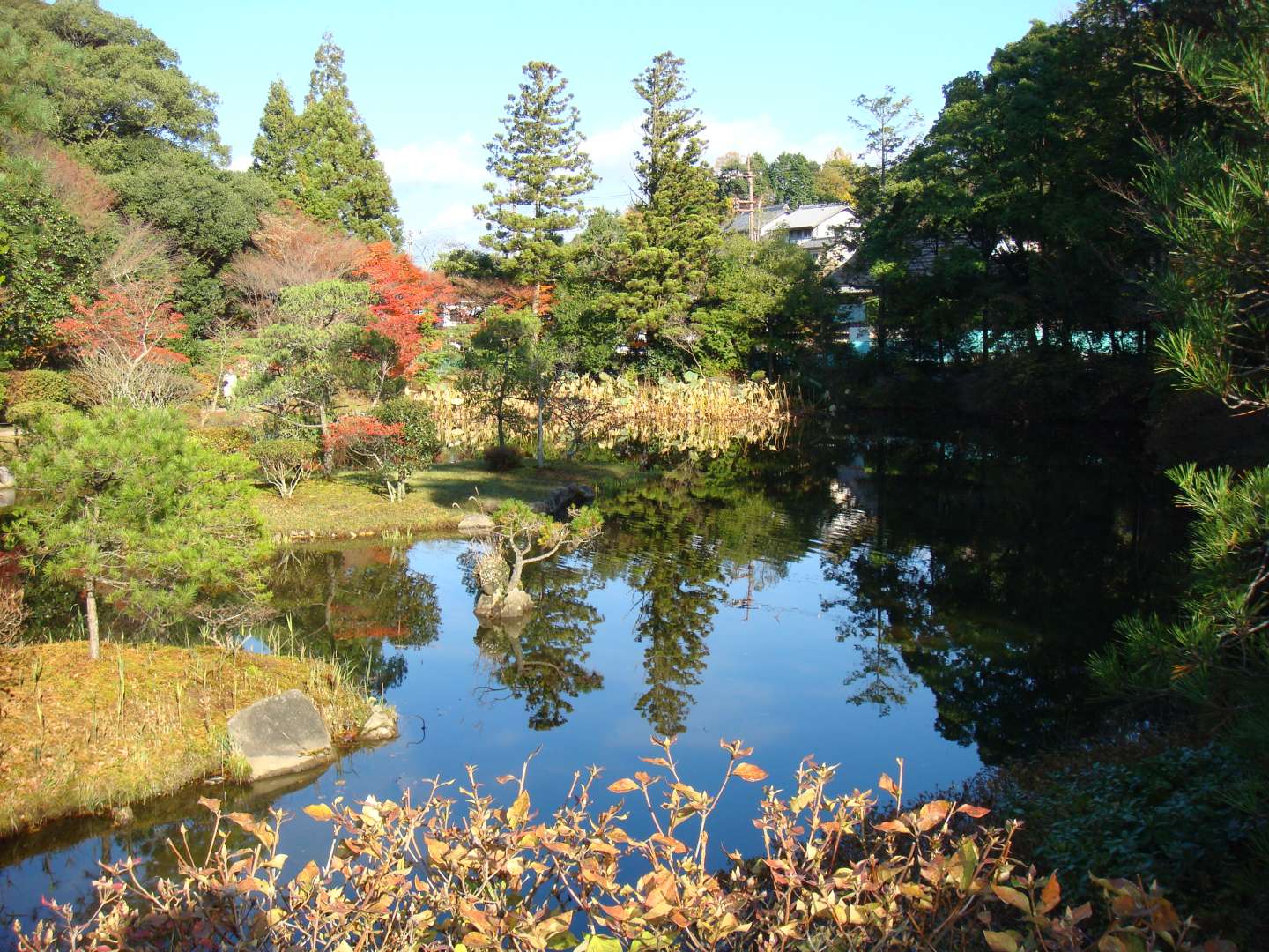 dsc00565.jpg
