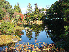 dsc00565_thumb.jpg