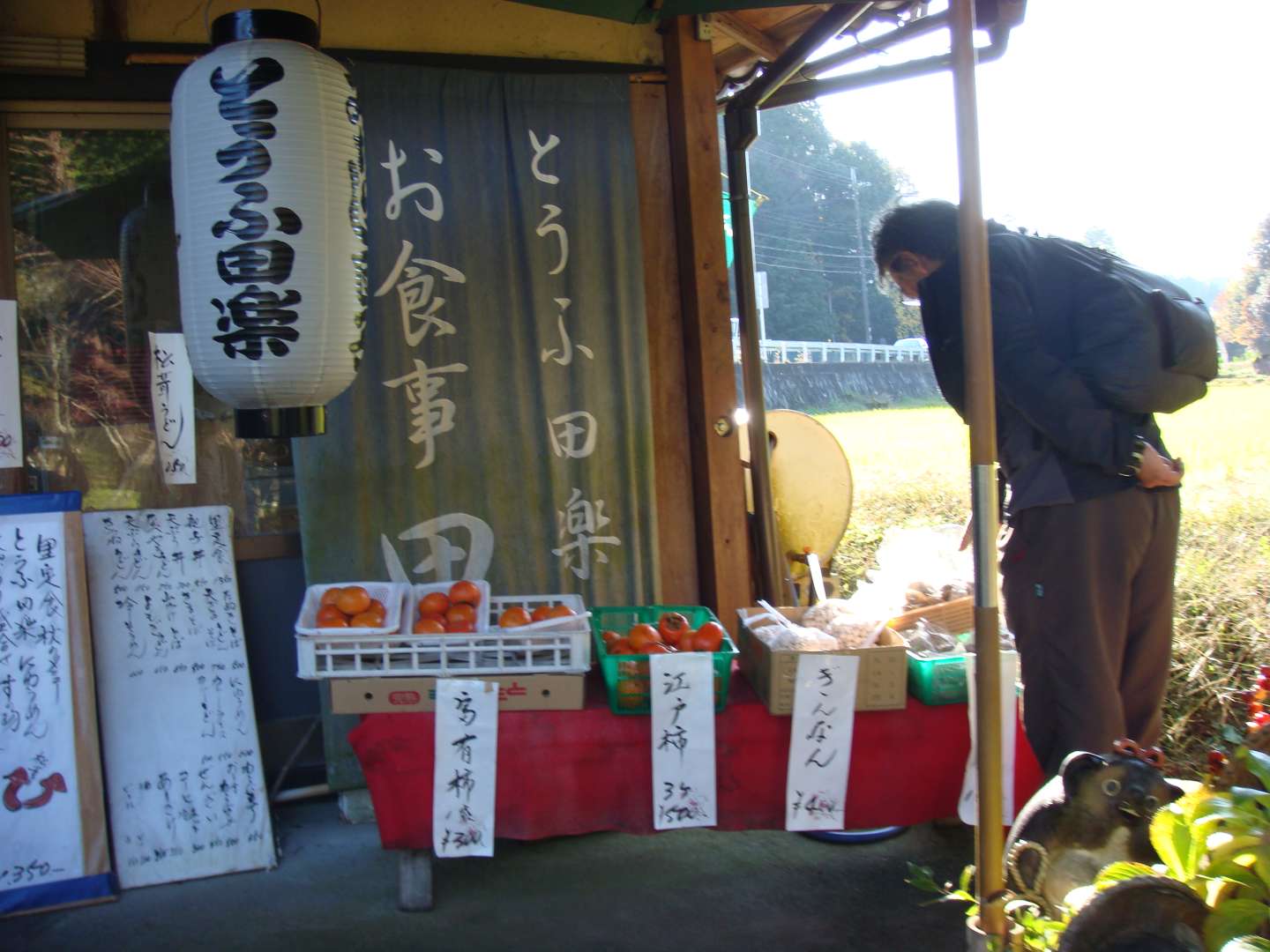 dsc00566.jpg