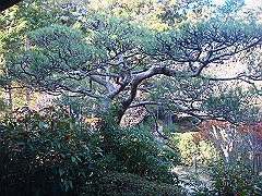 dsc00569_thumb.jpg