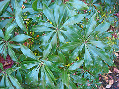 dsc00572_thumb.jpg