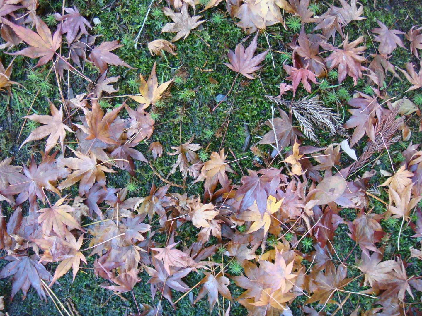dsc00573.jpg