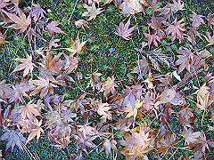 dsc00573_thumb.jpg
