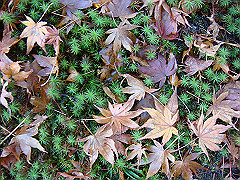 dsc00574_thumb.jpg