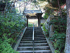 dsc00577_thumb.jpg
