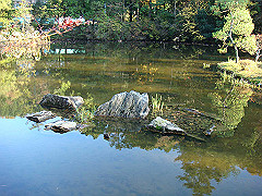 dsc00579_thumb.jpg