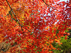 dsc00585_thumb.jpg