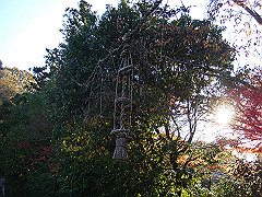 dsc00589_thumb.jpg