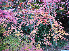 dsc00592_thumb.jpg
