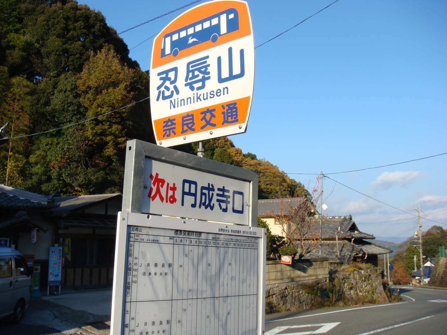 dsc00595.jpg