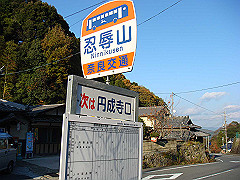 dsc00595_thumb.jpg
