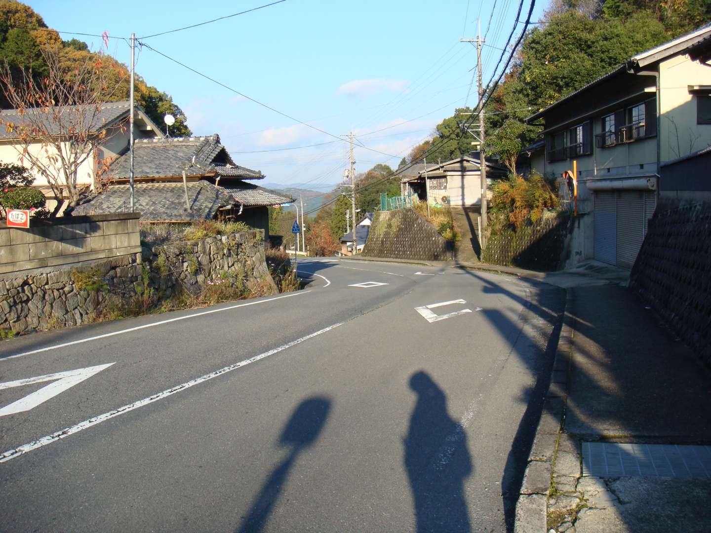 dsc00599.jpg