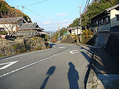 dsc00599_thumb.jpg