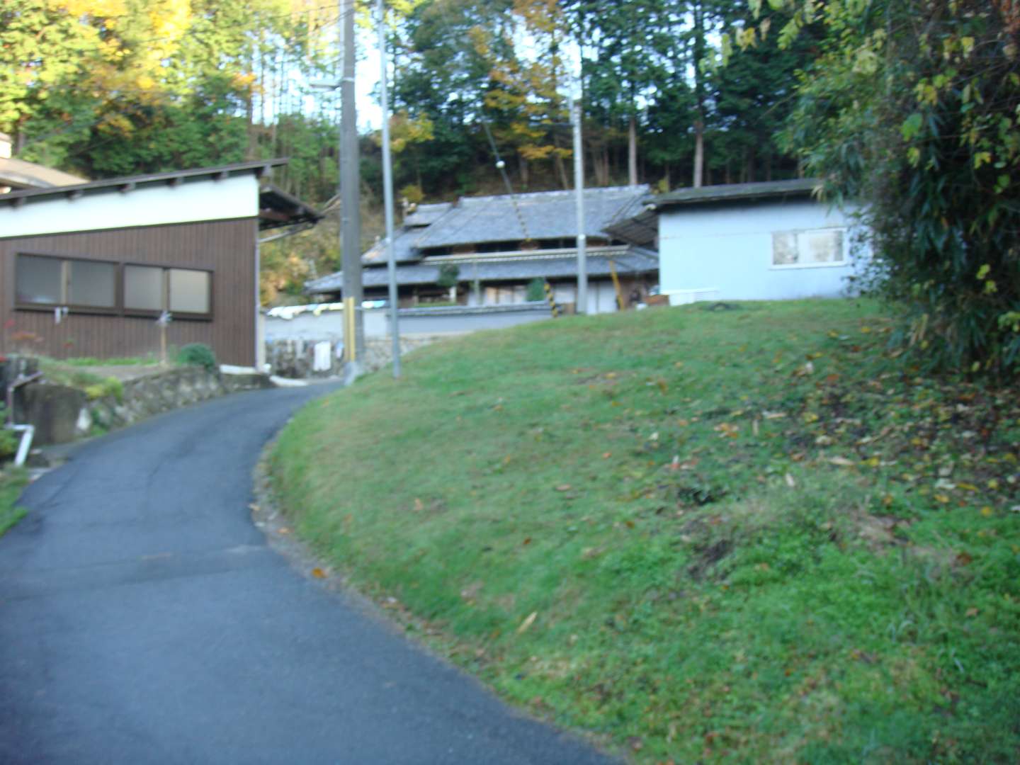 dsc00600.jpg