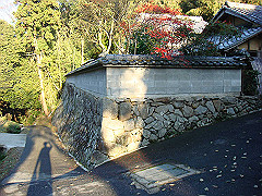 dsc00603_thumb.jpg
