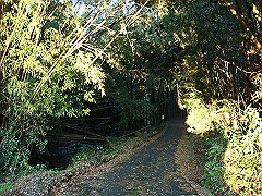 dsc00604_thumb.jpg