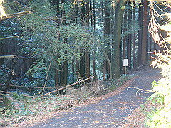 dsc00606_thumb.jpg